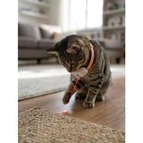 Şarj Edilebilir Otomatik Kedi Lazeri - Boyun Askılı İnteraktif Kedi Oyuncağı Eğitici & Egzersiz