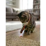 Şarj Edilebilir Otomatik Kedi Lazeri - Boyun Askılı İnteraktif Kedi Oyuncağı Eğitici & Egzersiz