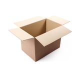 Sarkap 10'lu BC dalga Çift Oluk 2'li 5 lt Zeytinyağı Karton Kolisi 15x25x32 cm
