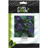 Sarmaşık Çiçek Tohumu - TROPAEOLUM AZUREUM  (Blue Nasturtium) (~ Takribi 12 Tohum)