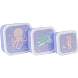 Saro 3'lü Ocean Life Beslenme Atıştırma Kutusu