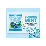 Sarvan Bonduo Mınt Naneli Bonbon Şeker 900GR Bayramlık,ikramlık,hediyelik - 1 Adet