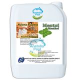 Sauna Buhar Esansı Mentol 5 Lt Anatolıapool Sauna Essence Menthol