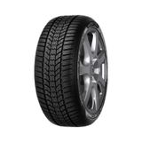 Sava Eskimo Hp 2 205/50R17 93V Xl Fp Kış Lastiği 2026