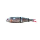 Savage Gear LB Softy Play Bulk Box 9.5 cm 7.5 gr Silikon Yem Fungus Roach