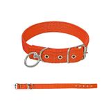 Savex Dokuma Kopek Boyun Tasmasi Turuncu 2.5*50 Cm