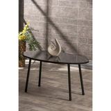 Savita Home Siyah Metal Orta Sehpa Elips - 90X50X42 cm - Bendir