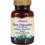Saw Palmetto Isırgan Ekstraktı Çinko 60 Kapsül Cüce Palmiye
