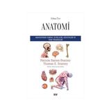 Say Yayınları A’dan Z’ye Anatomi: Anatominin Tarihi, Temelleri, Sistemleri ve Tanı Teknikleri + 6 Kitap