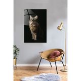 Saydam Kedi Temalı Cam Tablo 40X60CM, Ev Dekorasyonu Için Şık Seçenek - Ahşap - Seçenek 1