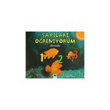 Sayıları Öğreniyorum - Denizde - Rebecca Rissman
