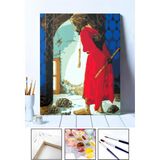 Sayılarla Boyama Seti - Kaplumbağa Terbiyecisi | Tuval Şasesine Gerili 40X50|FIRÇA ve Akrilik Boya