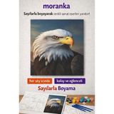 Sayılarla Boyama Tuval Seti Fırça Boya Dahil (Çıtalı) 40X50 cm - KARAKARTAL