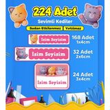Sb Store Okul Kreş Etiketi Kalem Defter Özel Isim Yazılabilen Etiket Seti Model 160 - 224 Adet