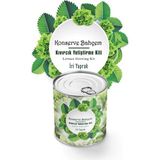 SBN - Store Buffer® Konserve Bahçem Evde Konservede Iri Yapraklı Kıvırcık Yetiştirme Kiti