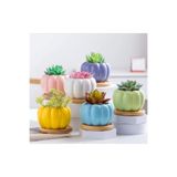 Sbq Collection Balkabağı Saksı Silikon Kalıbı