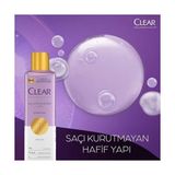 Scalpceuticals Saç Bakım Şampuanı Saç Dökülmesine Karşı 300 Ml