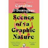 Scenes of a Graphic Nature: 'A perfect page-turner' (Dolly Alderton) from the bestselling author of The Rachel Incident