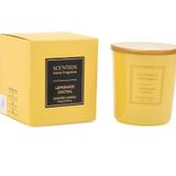SCENTBOX LEMONADE COCTAIL 120 GR Kokulu Bardak Mum - Scented Candle