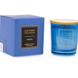 SCENTBOX MARINA 120 GR Kokulu Bardak Mum - Scented Candle