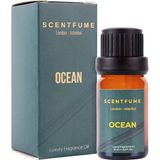 Scentfume Ocean 10 ml Difüzör Esansı, Oda Kokusu, Aromaterapi Yağı, İmza Koku Esansiyel %100 Doğal Yağ Aromaterapi Meditasyon