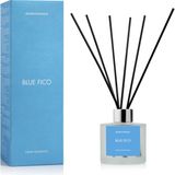 SCENTMEGA Blue Fico Çubuklu Koku 120ML