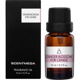 SCENTMEGA Ginger Blossom Esans 10ML