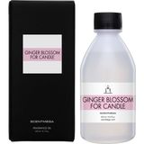 SCENTMEGA Ginger Blossom Esans 250ML