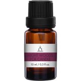 Scentmega Night Woods Esans 10ML - Sarı