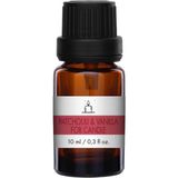 Scentmega Patchoulı&Vanılla Esans 10 ML - Sarı