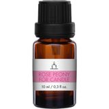 Scentmega Rose Peony Esans 10 ML - 10ML - Sarı