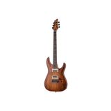 Schecter C-1 Exotic Spalted Maple Elektro Gitar