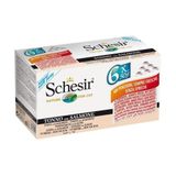 Schesir Ton Balıklı Somonlu Multıpack Yetişkin 6x50 gr Kedi Maması