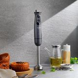 Schäfer Chef Pro Çubuk Blender-Antrasit - Çok Renkli