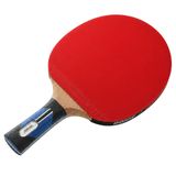 Schildkröt Donic Top Team 800 masa tenisi raketi, AVS ve PLS sap, 1,8 mm sünger, Vari Slick - ITTF kaplama, 754198, ahşap/doğal