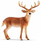 Schleich 14818 Oyuncak Ak Kuyruklu Antilop