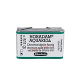 Schmincke 511 Chrom Oxide Green Brill Seri 2 Horadam Aquarell 1/1 Tablet Sulu Boya