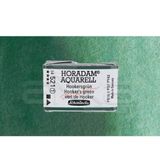 Schmincke 521 Phthalo Green Seri 1 Horadam Aquarell 1/1 Tablet Sulu Boya
