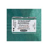 Schmincke 533 Cobalt Green Dark Seri 4 Horadam Aquarell 1/1 Tablet Sulu Boya