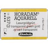 Schmincke 537 Transparent Green Gold Seri 3 Horadam Aquarell 1/1 Tablet Sulu Boya