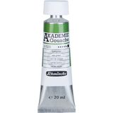 Schmincke Akademie Guaj Boya 20 ml 520 Sap gr een