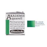 Schmincke Akademie Yarım Tablet Permanent Green Sulu Boya