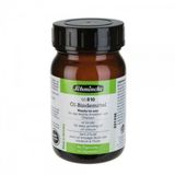 Schmincke Binder Yağlı Boya Bağlayıcı 810 (Kullanıma HAZIR)200 ml