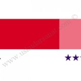 Schmincke Hks Designers Guaj Boya Tup 20Ml 314 Scarlet Red