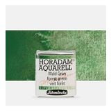 Schmincke : Horadam Aquarell Supergranulation Sulu Boya : Forest Green : Yarım Tablet