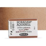Schmincke Horadam Aquarell Tam Tablet Sulu Boya Burnt Umber 668 S.1 - Renkli - Standart