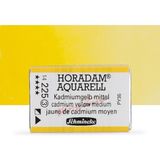 Schmincke Horadam Aquarell Tam Tablet Sulu Boya Cadmium Yellow Middle 225 S.3 - Renkli - Standart