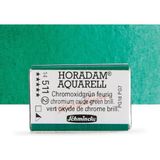 Schmincke Horadam Aquarell Tam Tablet Sulu Boya Chr. Oxide Green Bril. 511 S.2 - Renkli - Standart