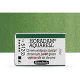 Schmincke Horadam Aquarell Tam Tablet Sulu Boya Chromium Oxide Green 512 S.2 - Renkli - Standart