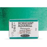 Schmincke Horadam Aquarell Tam Tablet Sulu Boya Phthalo Green 519 S.1 - Renkli - Standart